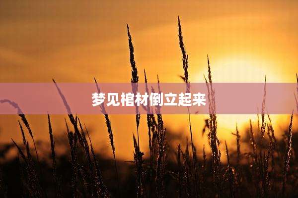 梦见棺材倒立起来