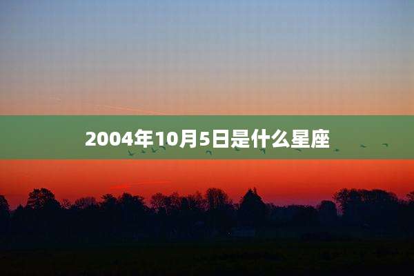 2004年10月5日是什么星座