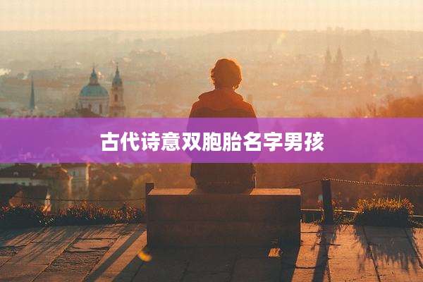 古代诗意双胞胎名字男孩