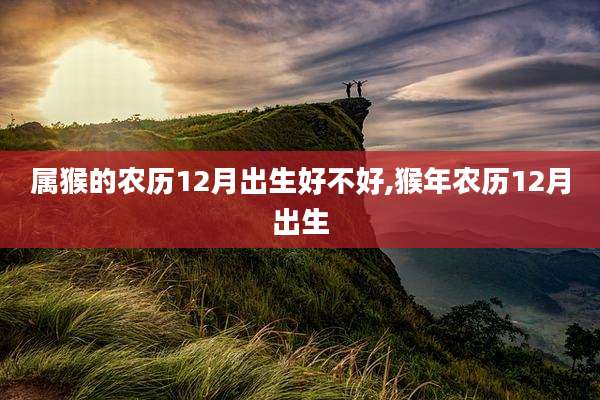 属猴的农历12月出生好不好,猴年农历12月出生