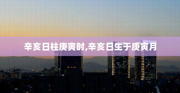 辛亥日柱庚寅时,辛亥日生于庚寅月