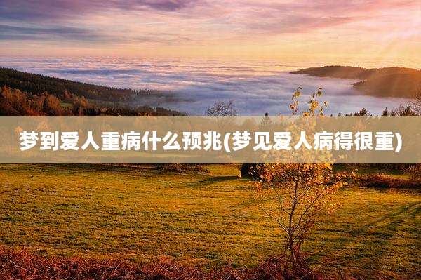梦到爱人重病什么预兆(梦见爱人病得很重)