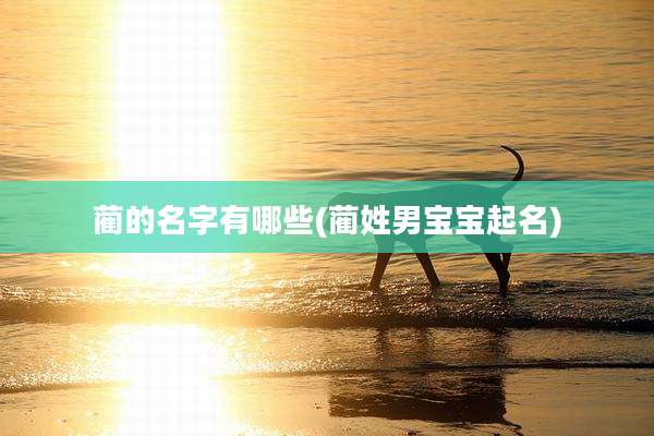 蔺的名字有哪些(蔺姓男宝宝起名)