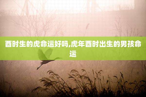 酉时生的虎命运好吗,虎年酉时出生的男孩命运