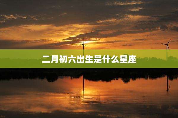 二月初六出生是什么星座