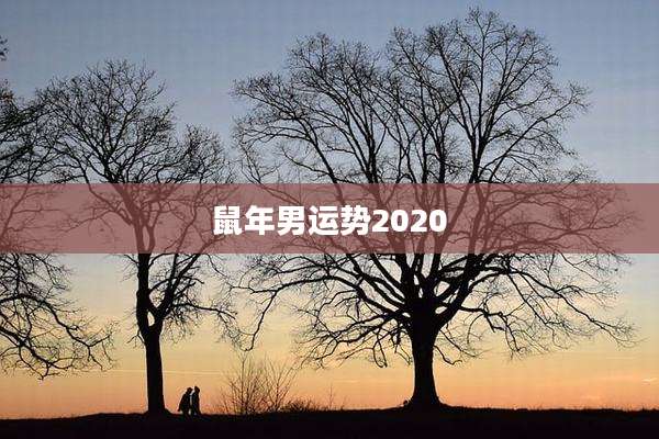 鼠年男运势2020