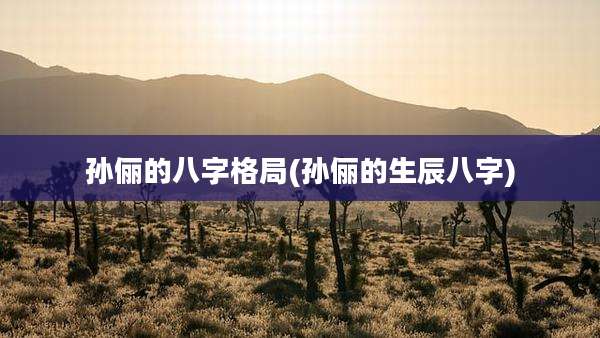 孙俪的八字格局(孙俪的生辰八字)