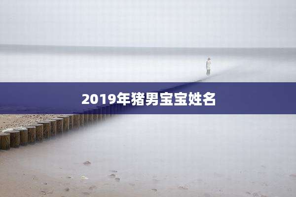2019年猪男宝宝姓名