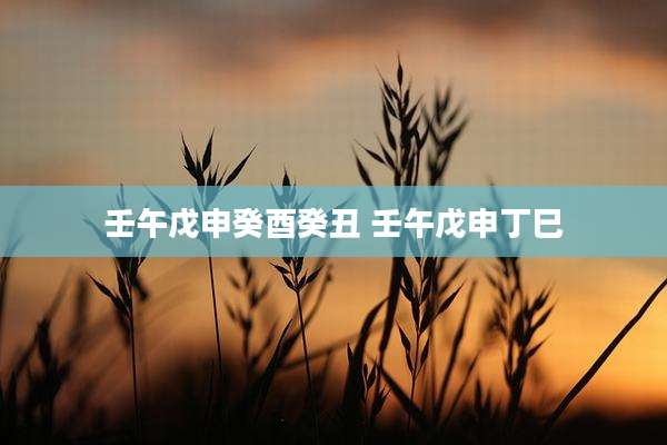 壬午戊申癸酉癸丑 壬午戊申丁巳