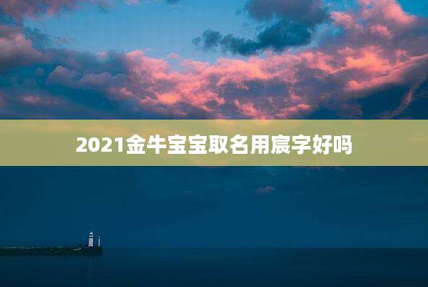 2021金牛宝宝取名用宸字好吗