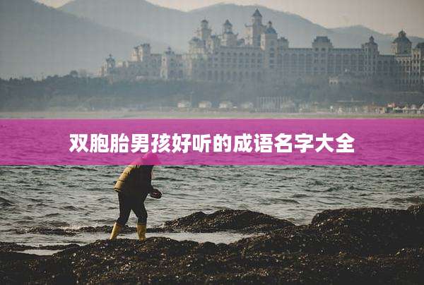 双胞胎男孩好听的成语名字大全