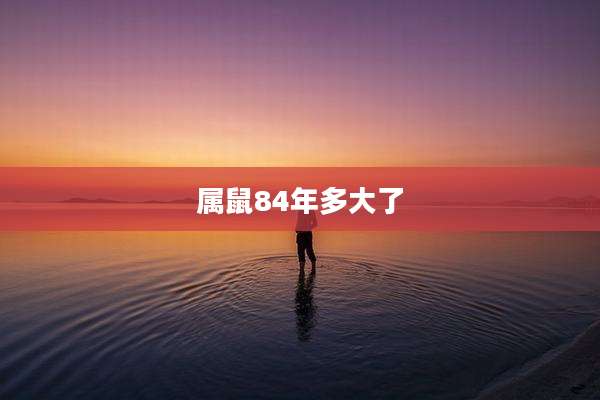 属鼠84年多大了