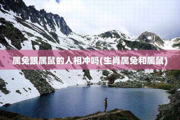 属兔跟属鼠的人相冲吗(生肖属兔和属鼠)