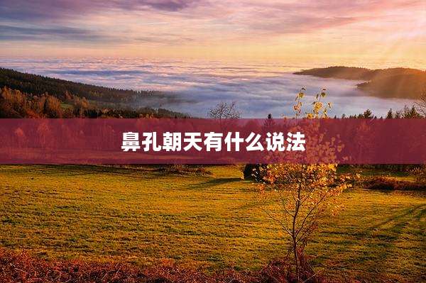 鼻孔朝天有什么说法