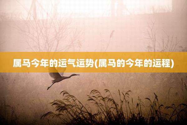 属马今年的运气运势(属马的今年的运程)