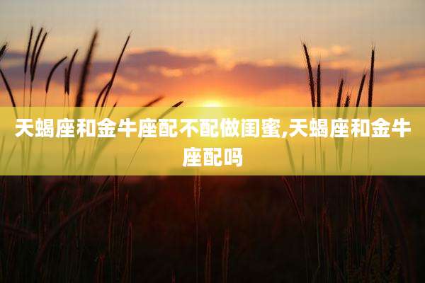 天蝎座和金牛座配不配做闺蜜,天蝎座和金牛座配吗