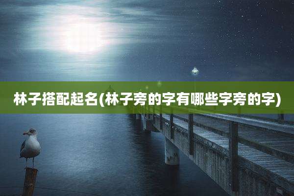 林子搭配起名(林子旁的字有哪些字旁的字)