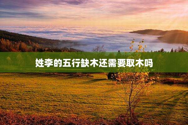 姓李的五行缺木还需要取木吗