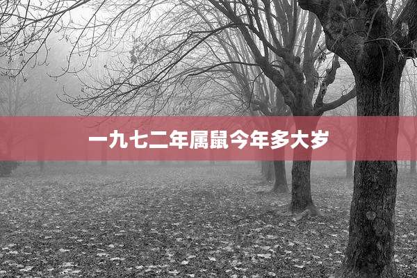 一九七二年属鼠今年多大岁