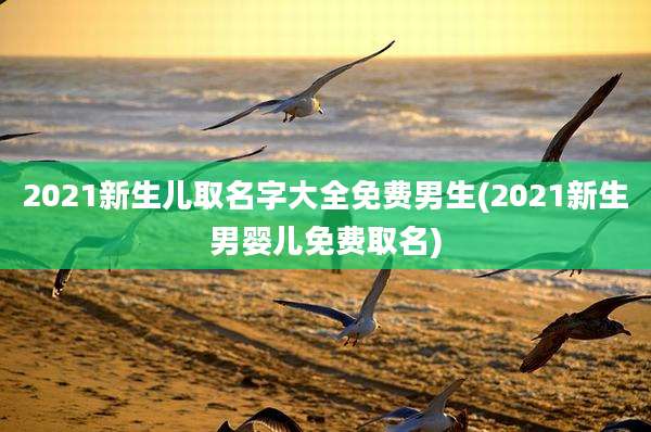 2021新生儿取名字大全免费男生(2021新生男婴儿免费取名)