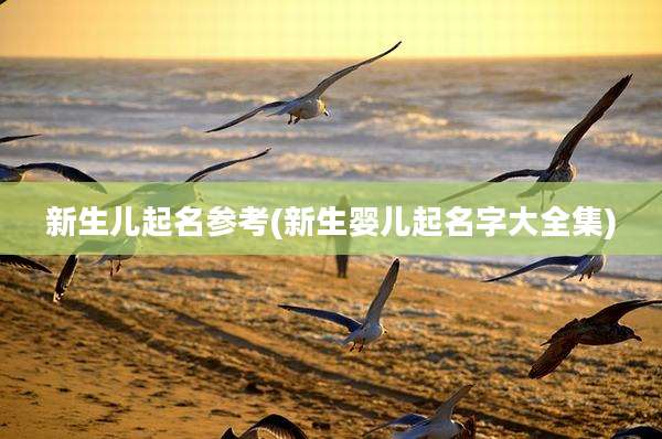 新生儿起名参考(新生婴儿起名字大全集)