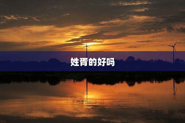 姓胥的好吗