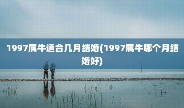 1997属牛适合几月结婚(1997属牛哪个月结婚好)