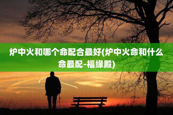 炉中火和哪个命配合最好(炉中火命和什么命最配-福缘殿)