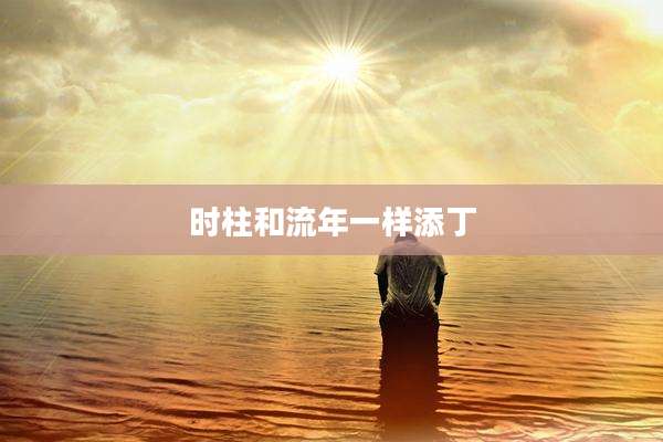 时柱和流年一样添丁