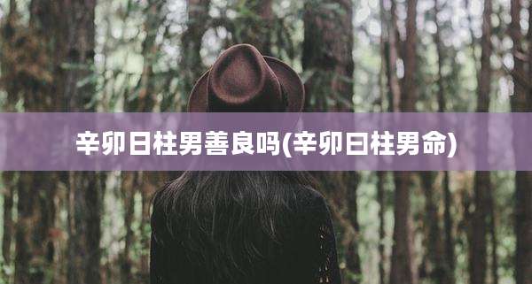 辛卯日柱男善良吗(辛卯曰柱男命)