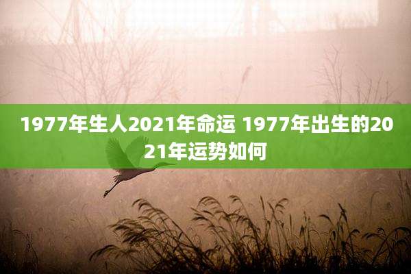 1977年生人2021年命运 1977年出生的2021年运势如何
