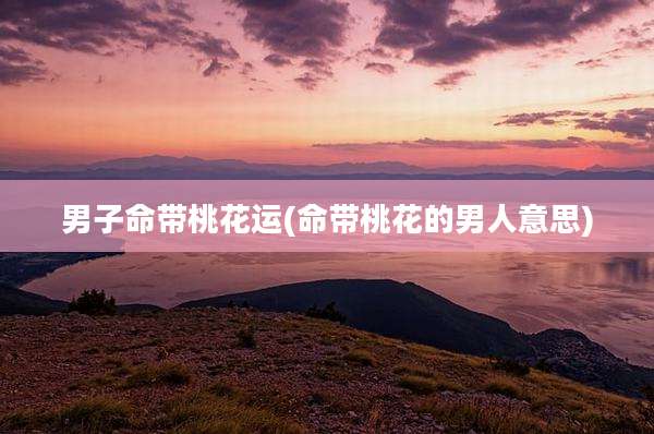 男子命带桃花运(命带桃花的男人意思)