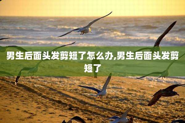 男生后面头发剪短了怎么办,男生后面头发剪短了