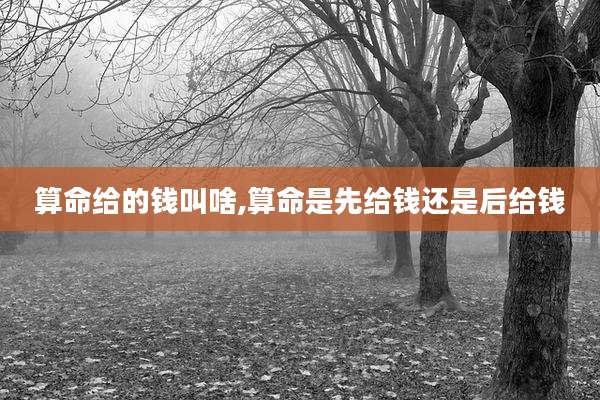 算命给的钱叫啥,算命是先给钱还是后给钱