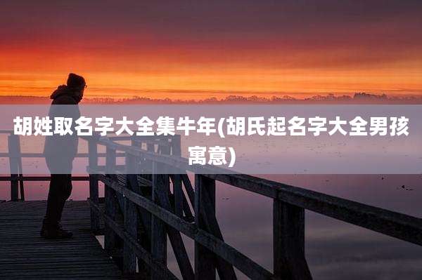 胡姓取名字大全集牛年(胡氏起名字大全男孩寓意)