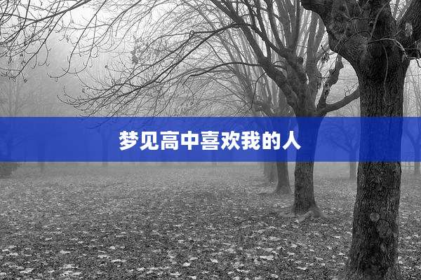 梦见高中喜欢我的人