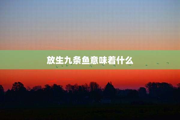 放生九条鱼意味着什么