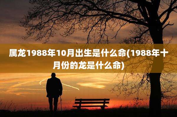 属龙1988年10月出生是什么命(1988年十月份的龙是什么命)