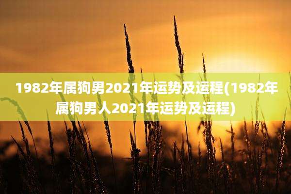 1982年属狗男2021年运势及运程(1982年属狗男人2021年运势及运程)
