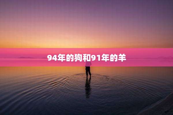 94年的狗和91年的羊