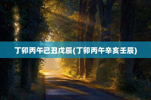 丁卯丙午己丑戊辰(丁卯丙午辛亥壬辰)