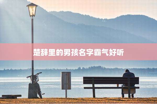 楚辞里的男孩名字霸气好听