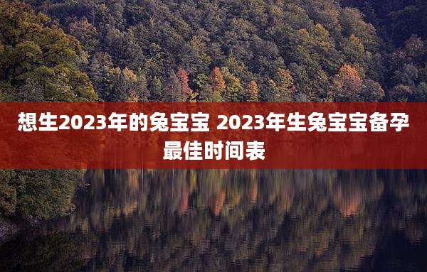想生2023年的兔宝宝 2023年生兔宝宝备孕最佳时间表