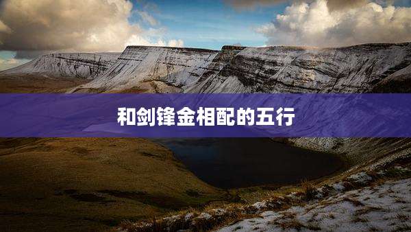 和剑锋金相配的五行