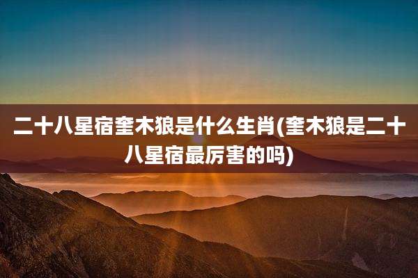 二十八星宿奎木狼是什么生肖(奎木狼是二十八星宿最厉害的吗)