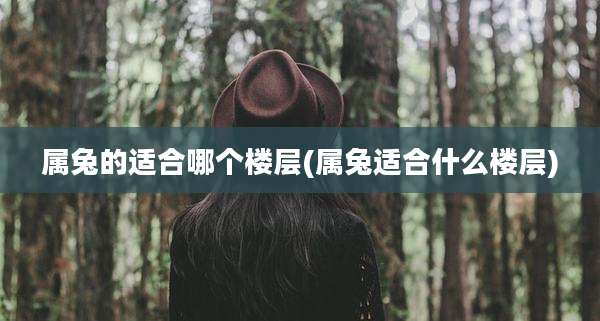 属兔的适合哪个楼层(属兔适合什么楼层)