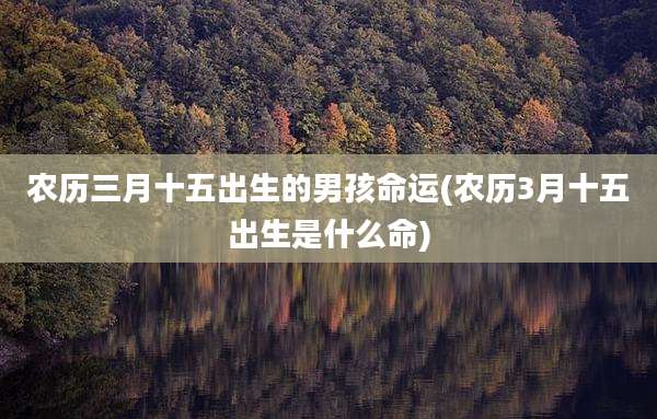农历三月十五出生的男孩命运(农历3月十五出生是什么命)