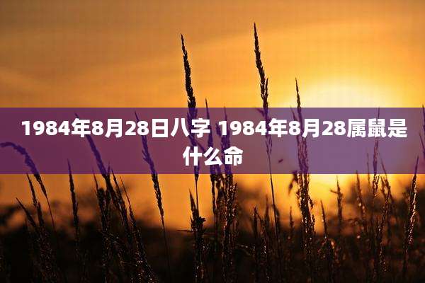 1984年8月28日八字 1984年8月28属鼠是什么命