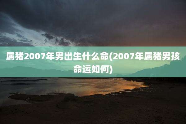 属猪2007年男出生什么命(2007年属猪男孩命运如何)