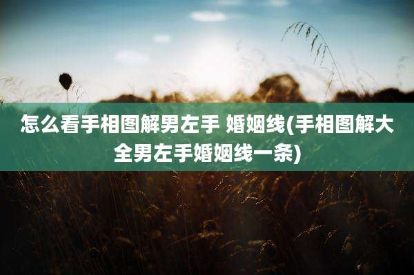 怎么看手相图解男左手 婚姻线(手相图解大全男左手婚姻线一条)